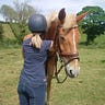 Horse&Field