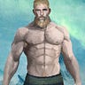 The Norse Warrior