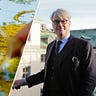 Rak höger med Ivar Arpi