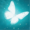 Alice in Paradise