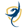 BlueDragon Insights