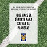 El Míster