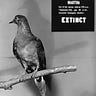 Bird History