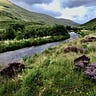 Ireland on the Fly