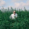 Cannabis in Thailand