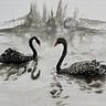 The Black Swans 📈