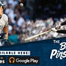 Bronx Pinstripes