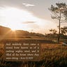Daily Devotional For Women
