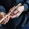 Anthropology.net