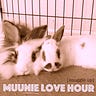 Muunie’s Substack