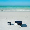 Where Pianos Roam