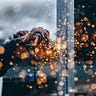 The Beautiful Disruption
