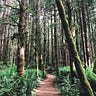 Northwest Frame of Mind