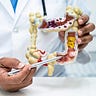 Your Health Facts