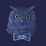 Bowtied Owl’s Substack