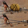 Anthropology.net
