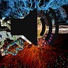 Altered States of Monetary Consciousness