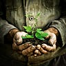 The Growing Edge