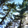 Timeless Luminosity Newsletter