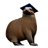 The Academic Platypus