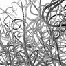 Radicle Weft