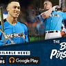 Bronx Pinstripes