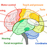 ABCs of multiple sclerosis 