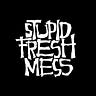 Stupid Fresh Mess