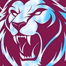 Aston Villa Review