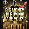 Daily Crypto News