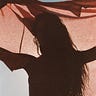 Ally’s Newsletter