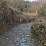 Along the Music Road 