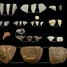 Anthropology.net