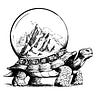 Turtle's Pace