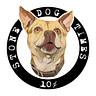 STONE DOG TIMES