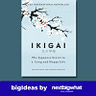 BigIdeas.FM: Audiobooks / Podcasts from latest books 