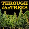 THROUGH the TREES