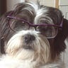 Write Whalley