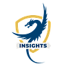 BlueDragon Insights