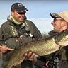 Ireland on the Fly