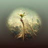 On Renewal