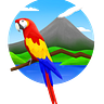 The Costa Rica Daily: Costa Rica News & Travel