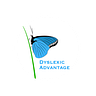 Dyslexic Advantage Newsletter | All Things Dyslexia
