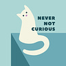 Never Not Curious