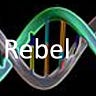 The Medical Rebel Commentary
