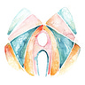 Adventures in vaginas (and other parts)
