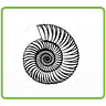A Spiral Space 