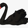 The Black Swan (aka Jane)
