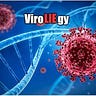 ViroLIEgy Newsletter