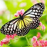 Hope Infusion ~ Hopeful stories that encourage & inspire!